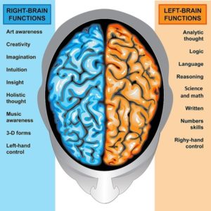 orange brain